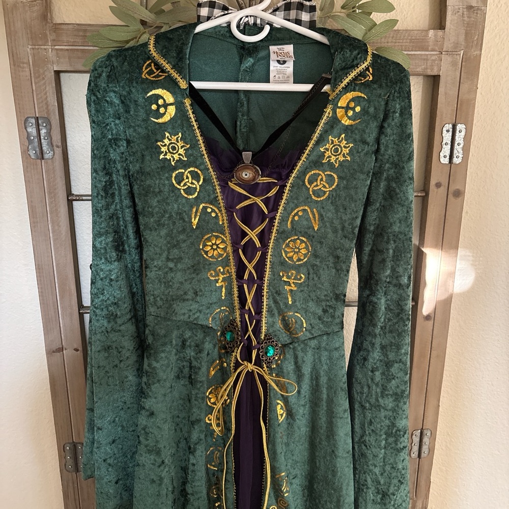 Hocus Pocus Winifred Sanderson Costume + Wig - Picture 3 of 7